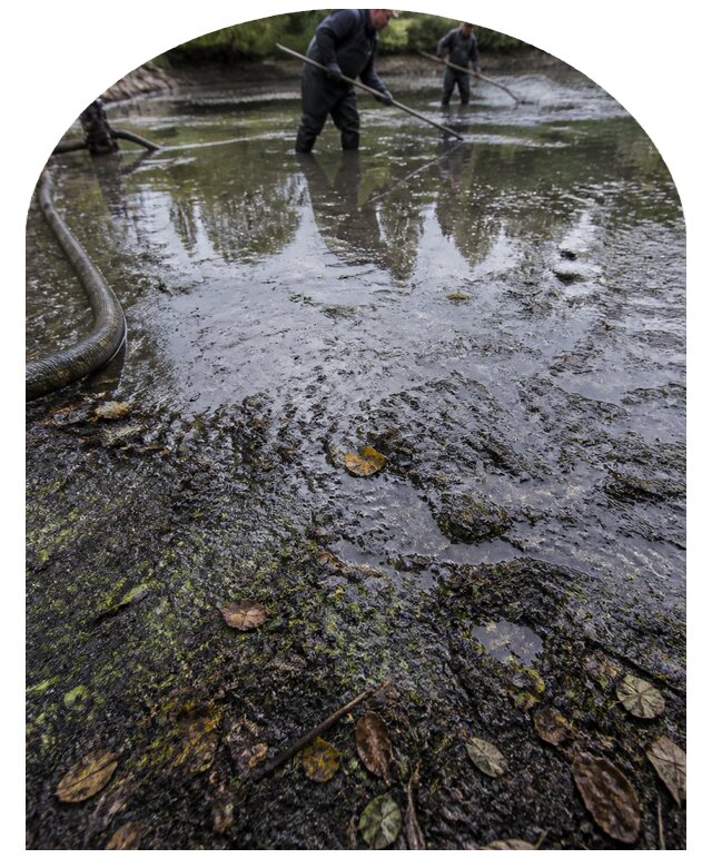 Очистка пруда в Краснодаре от ила мусора и водорослей с вывозом